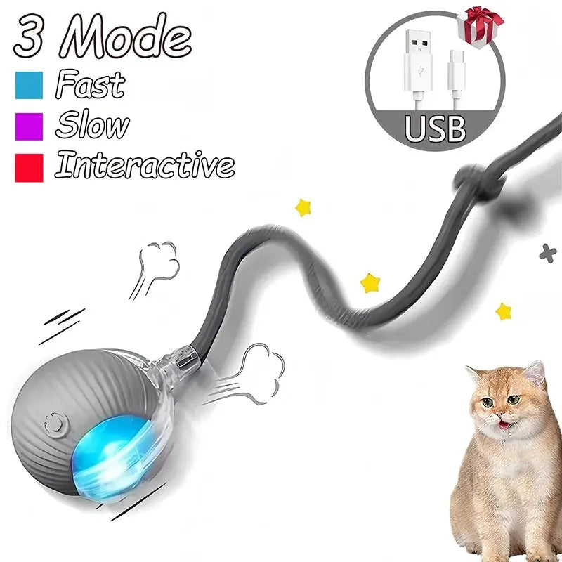 Cat toys Cat Interactive Ball Toys Automatic Rolling Ball Faux Tail Rechargeable Smart Pet Electric Toy Dog Cat Training Imitate Mouse WLP Company