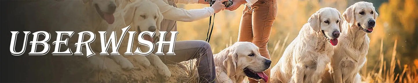 Cat bag Going out Portable cat backpack pet trolley bag Backpack Multi-cat jewelry Dog large capacity suitcase WLP Company