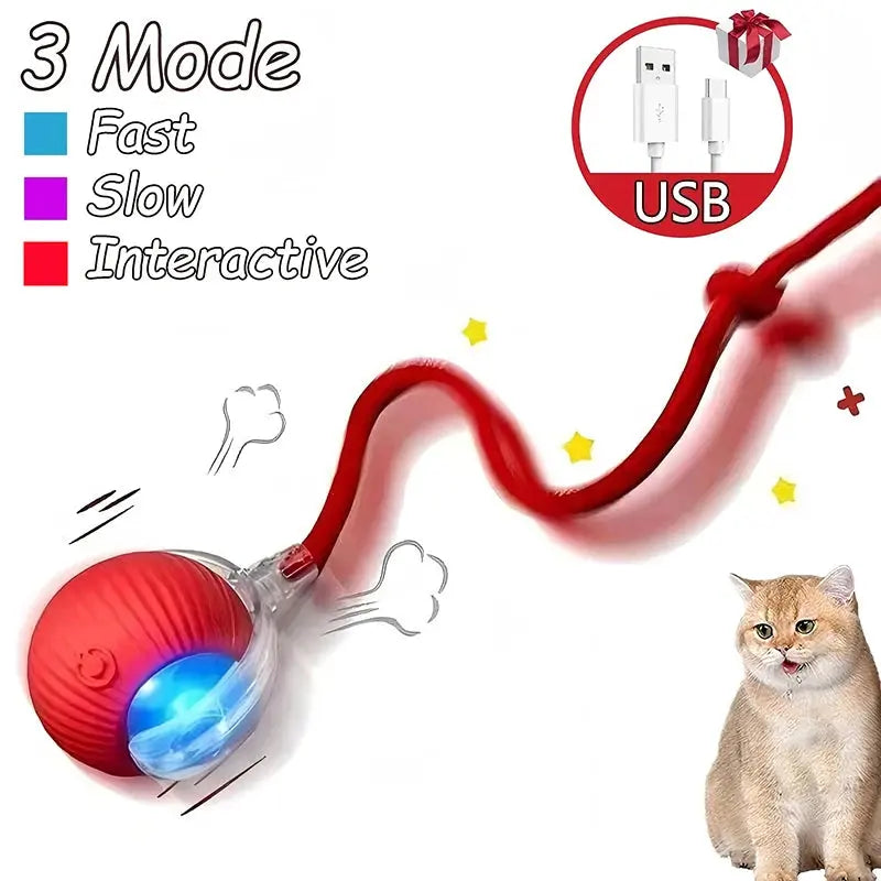 Cat toys Cat Interactive Ball Toys Automatic Rolling Ball Faux Tail Rechargeable Smart Pet Electric Toy Dog Cat Training Imitate Mouse WLP Company