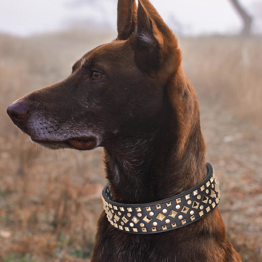 2" Wide Sharp Cool Spiked and Studded Leather Dog Collar