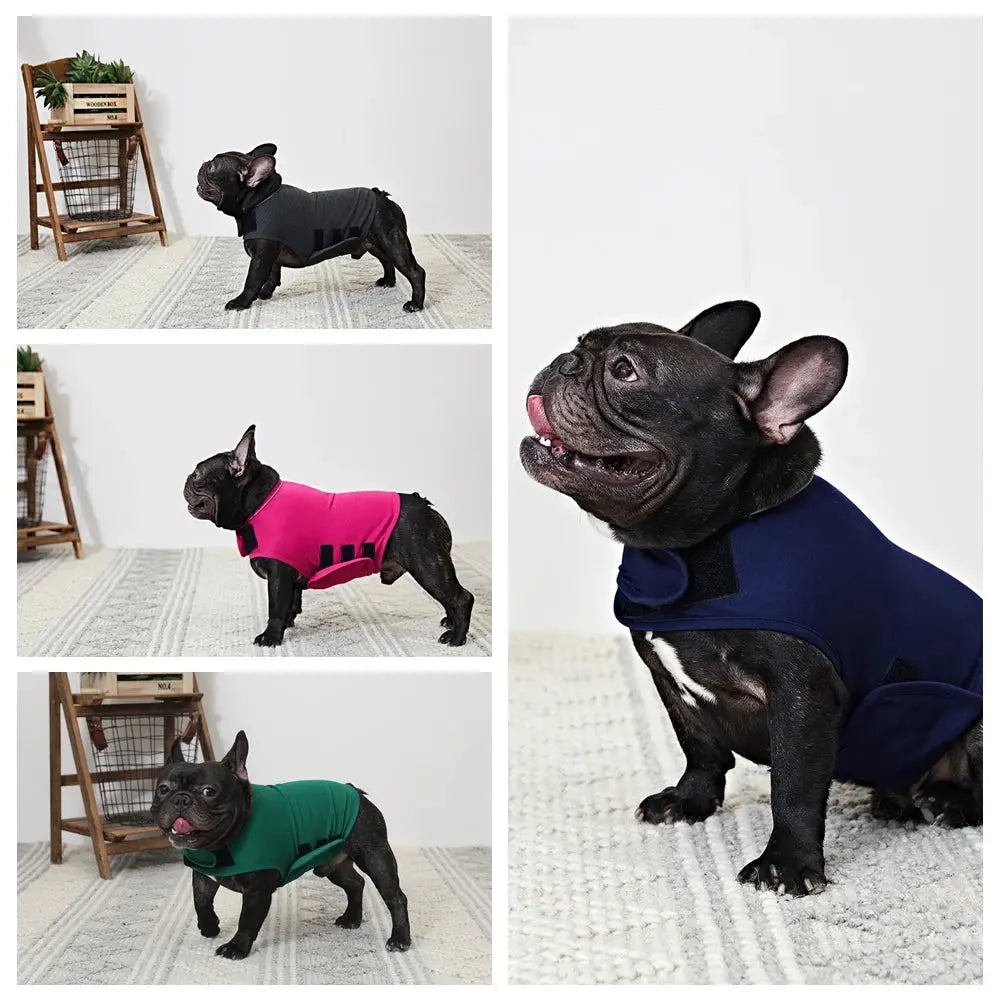 pet anxiety jacket Emotion/ Anxiety Soothing Jacket WLP Company