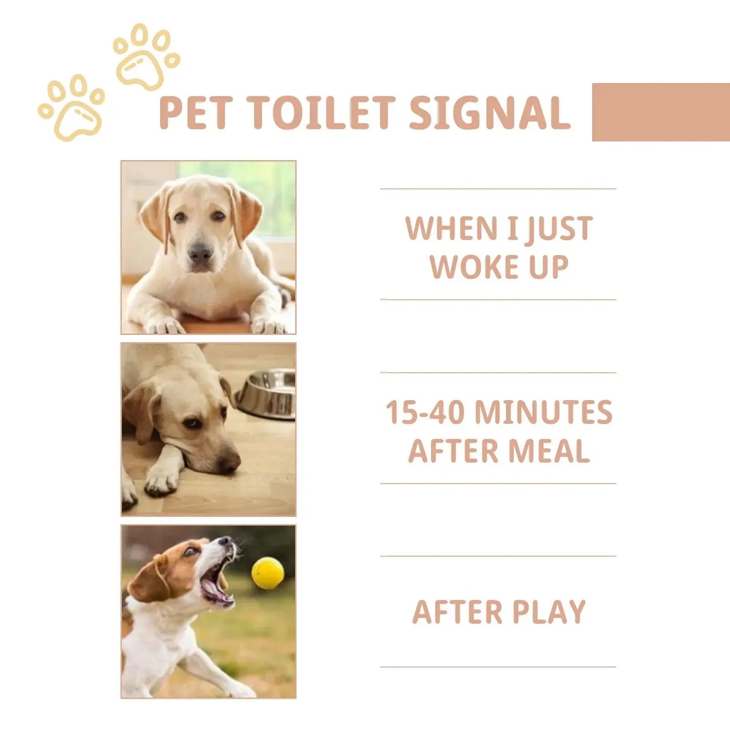 Pet Defecation Inducer Spray Positioning Defecation Indoor Outdoor Cat Potty Urinate Trainer Liquid Dog Toilet Training Spray WLP Company
