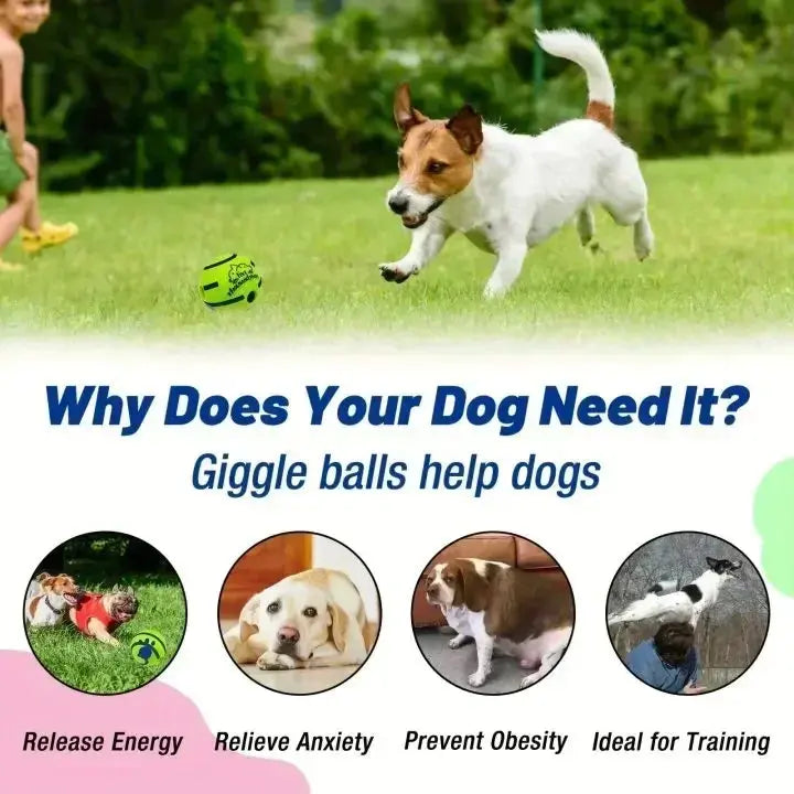 Pet Dog Toy Ball Wobble Wag Giggle Sound-Emitting Glow Ball Interactive Dog Toy Funny Indoor or Outdoor Play Agility Training WLP Company