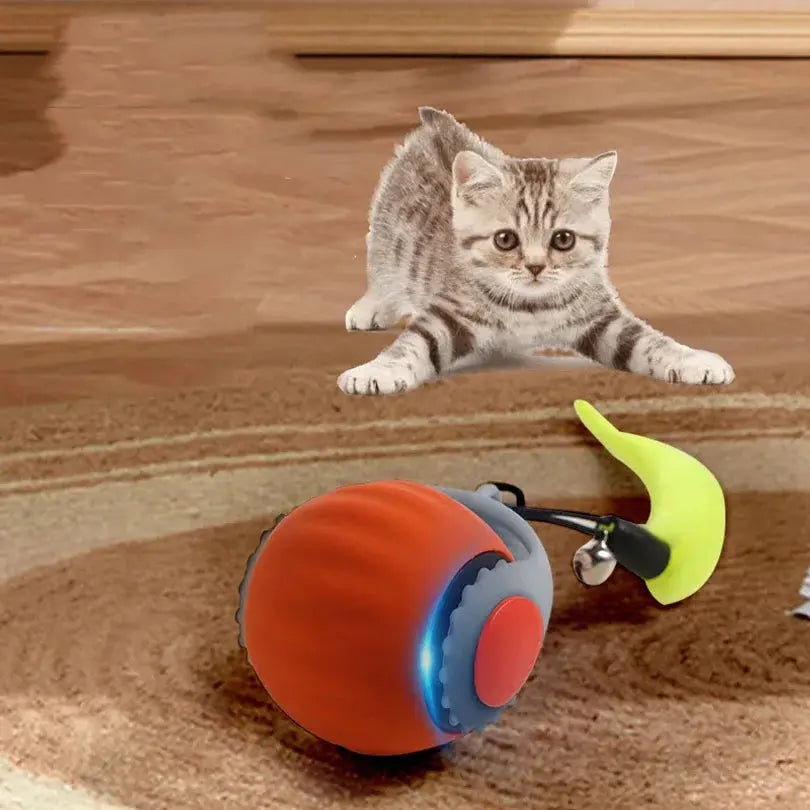 Hot pet smart cat ball cat toy ball electric cat toy self-exciting boredom ball safe bite-resistant pet toy Wholesale WLP Company