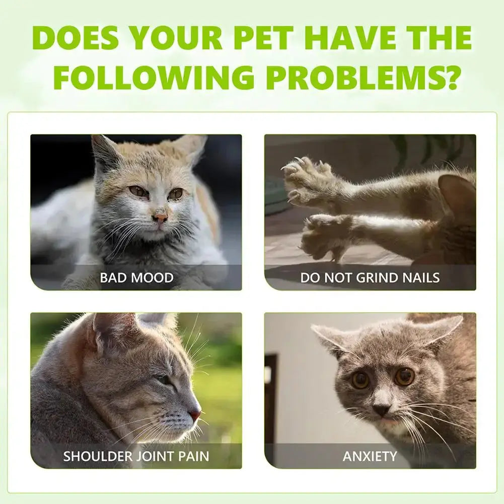 Celery Pets Catnip Spray Joy Herbal Cat Joy Insect Gall Fruit Spray Exciting Scratching Board Dropshipping WLP Company