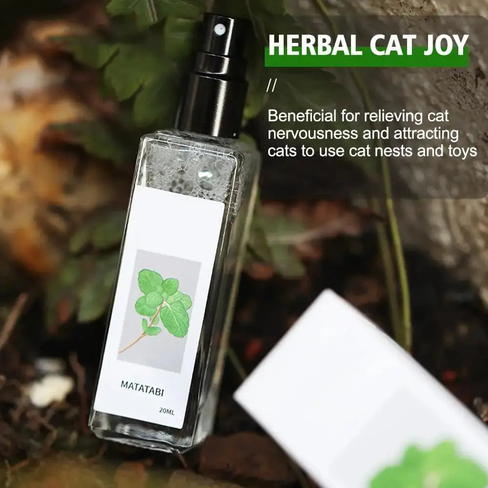 Celery Pets Catnip Spray Joy Herbal Cat Joy Insect Gall Fruit Spray Exciting Scratching Board Dropshipping WLP Company