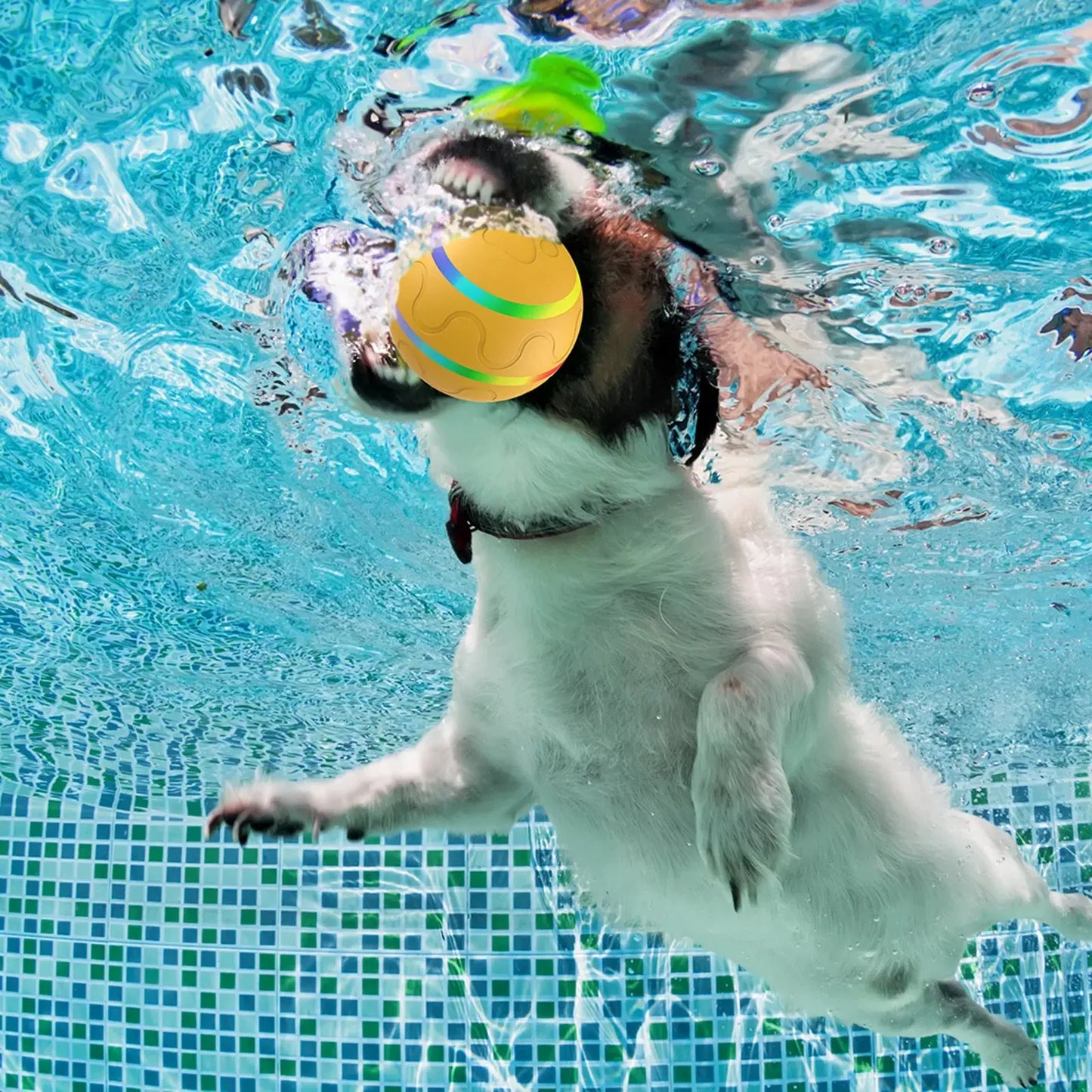 interactive pet toy Smart Interactive Pet Ball Remote Control Flashing Rolling Jumping Rotating Waterproof Dog Chew Toy Ball for Aggressive Chewers WLP Company