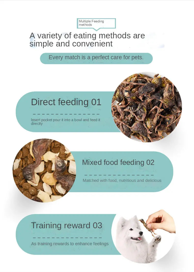 pet snacks Pet freeze-dried meat quail cat snacks kittens hair gill quail freeze-dried dog snacks WLP Company