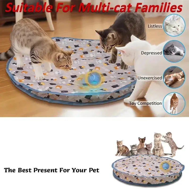 Smart Interactive Cat Toys Ball Fast Rolling in Pouch Hide and Seek Kitten Toy Motion Activated Interactive Cat Toy for Indoor WLP Company