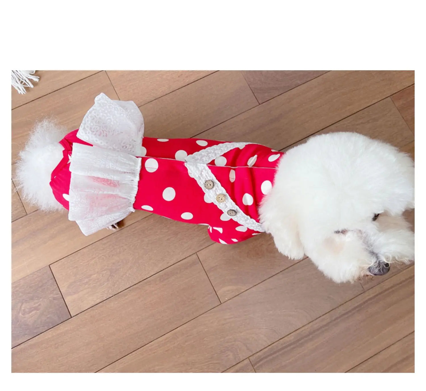 100% Cotton Fashion Puppy Dress