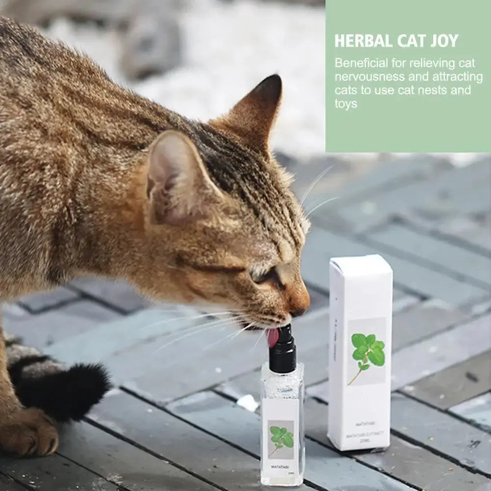 Celery Pets Catnip Spray Joy Herbal Cat Joy Insect Gall Fruit Spray Exciting Scratching Board Dropshipping WLP Company