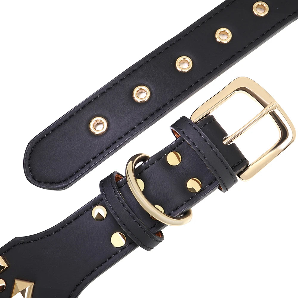 2" Wide Sharp Cool Spiked and Studded Leather Dog Collar