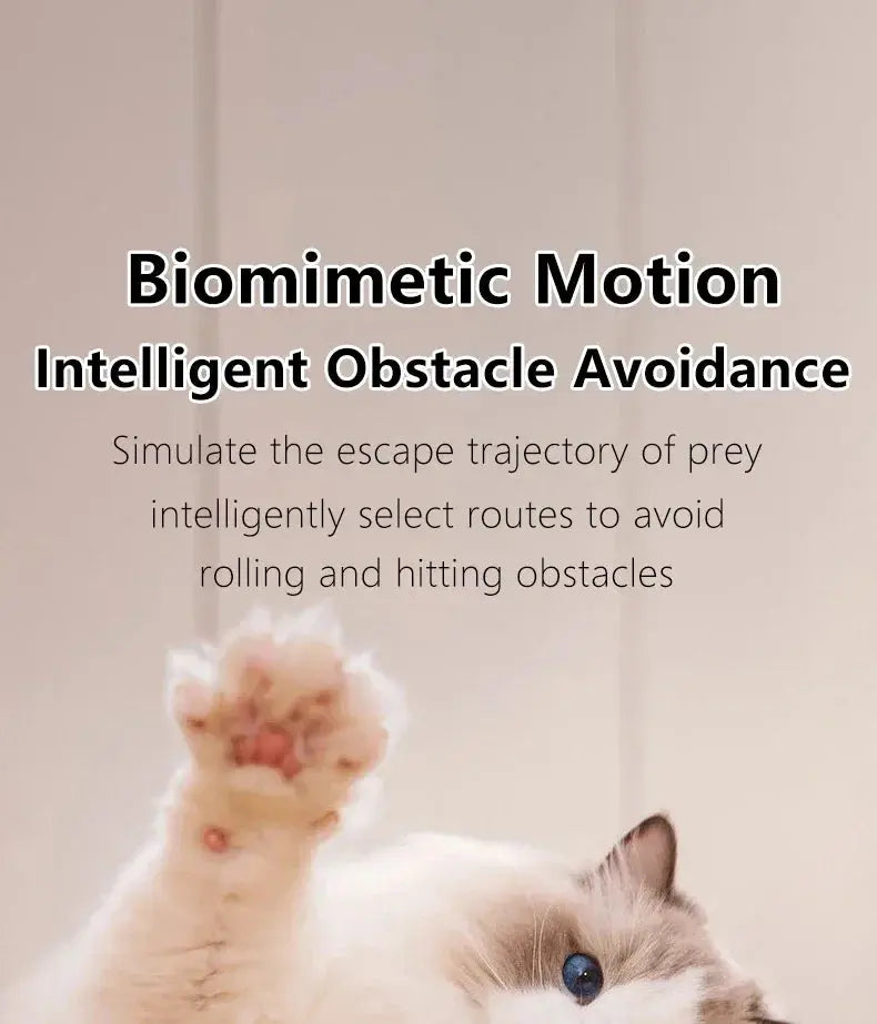 Cat Interactive Ball Smart Cat Toys for Pet Indoor WLP Company