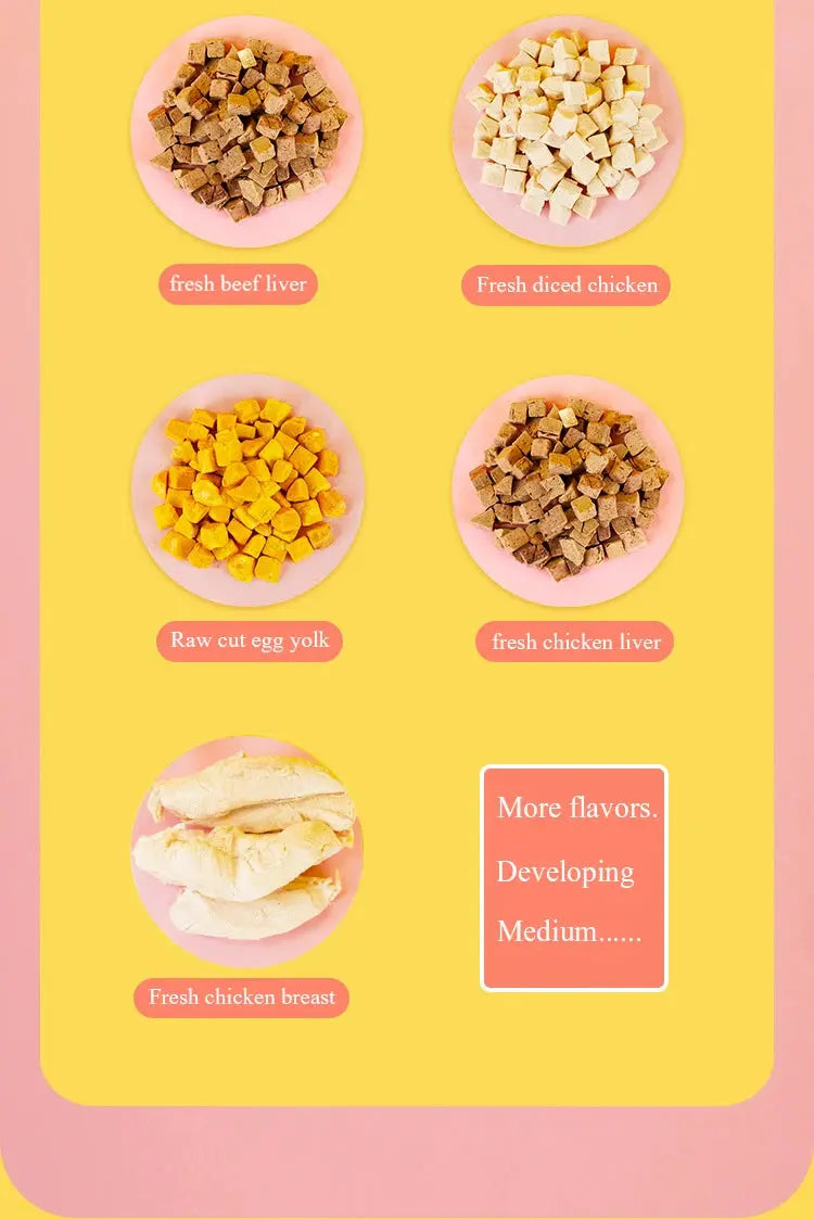 Pet food dog freeze-dried snacks sealed chicken breast egg yolk beef liver freeze-dried cat snacks WLP Company