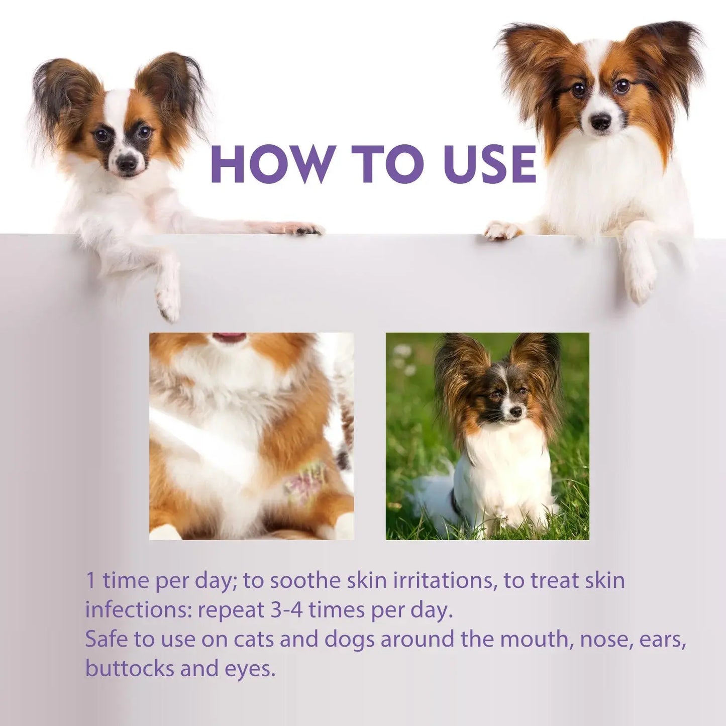 Cat Skin Care Spray Pet Flea Mite Eliminator Dog Itchy Skin Treatment Pet Wound Repair Cat Hair Regrowth Dog Hair Repair Serum WLP Company