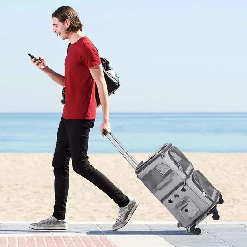 Double-layer Pet Trolley Bag Large Space Portable Outdoor Travel Silent Easy To Put Two Cat Foldable Oxford Cloth Pet Bag WLP Company