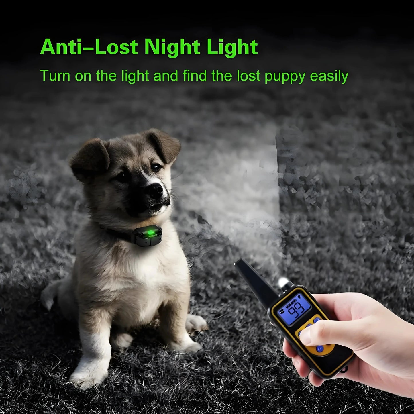 Professional Dog Training Collar with LCD Screen - 800m Range Waterproof System WLP Company