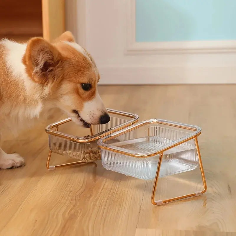 transparent cat bowl Transparent Double Cat Bowl with Vertical Design for Easy Feeding WLP Company