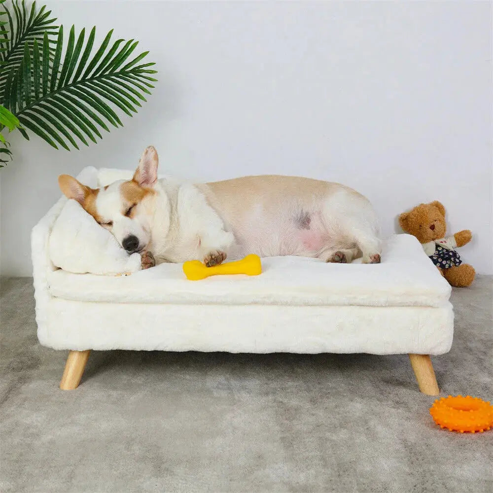 luxury dog sofa Luxury Elevated Dog Sofa Bed with Backrest Plush Cushion Wooden Legs WLP Company
