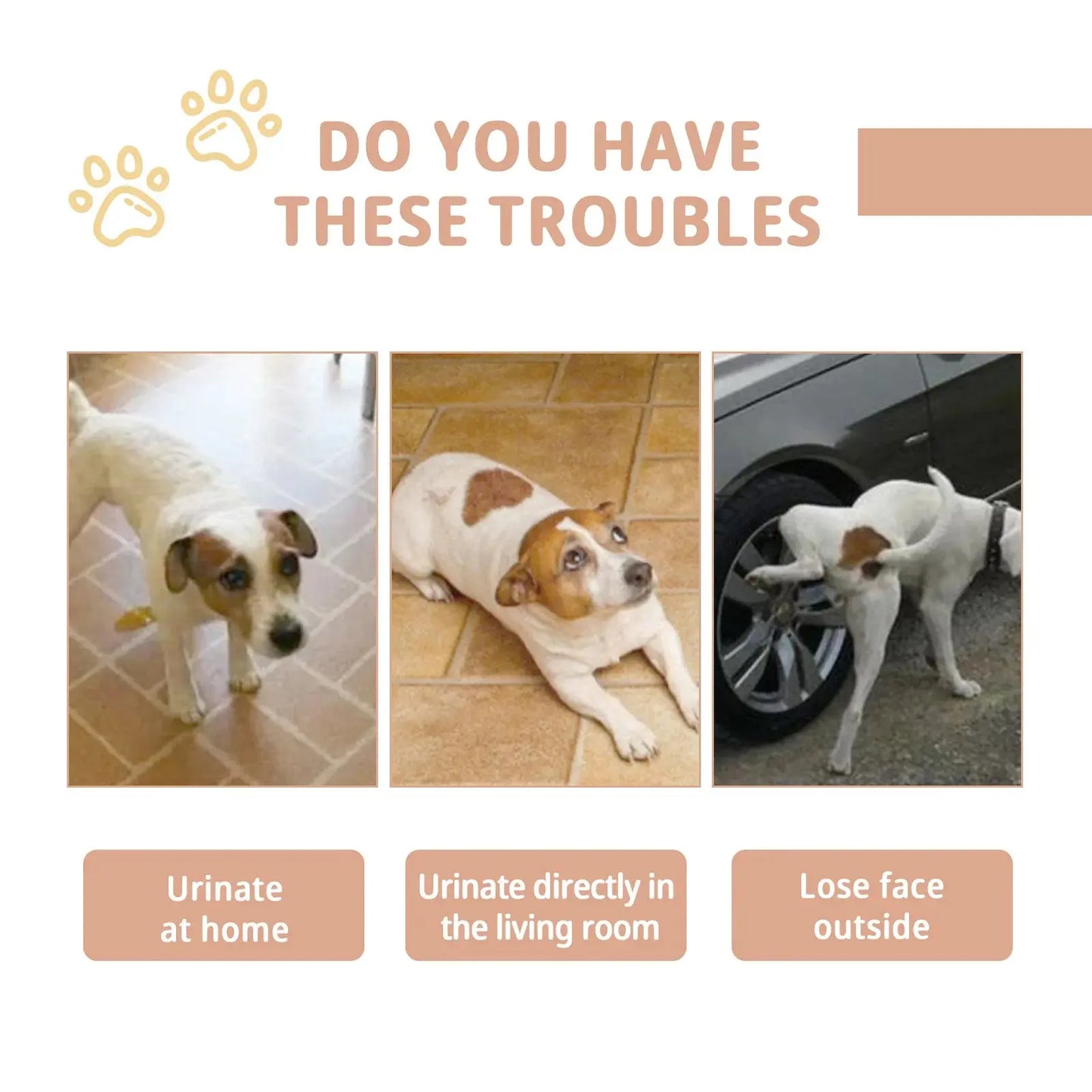 Pet Defecation Inducer Spray Positioning Defecation Indoor Outdoor Cat Potty Urinate Trainer Liquid Dog Toilet Training Spray WLP Company