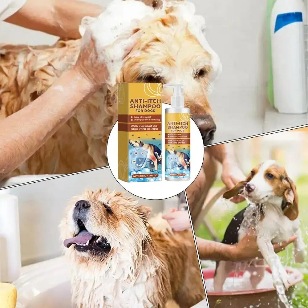 Dog Shampoo And Conditioner Shampoo Liquid Long-Lasting Nourishing Mild Dog Shampoo And Conditioner Pet Friendly Moisturizing WLP Company
