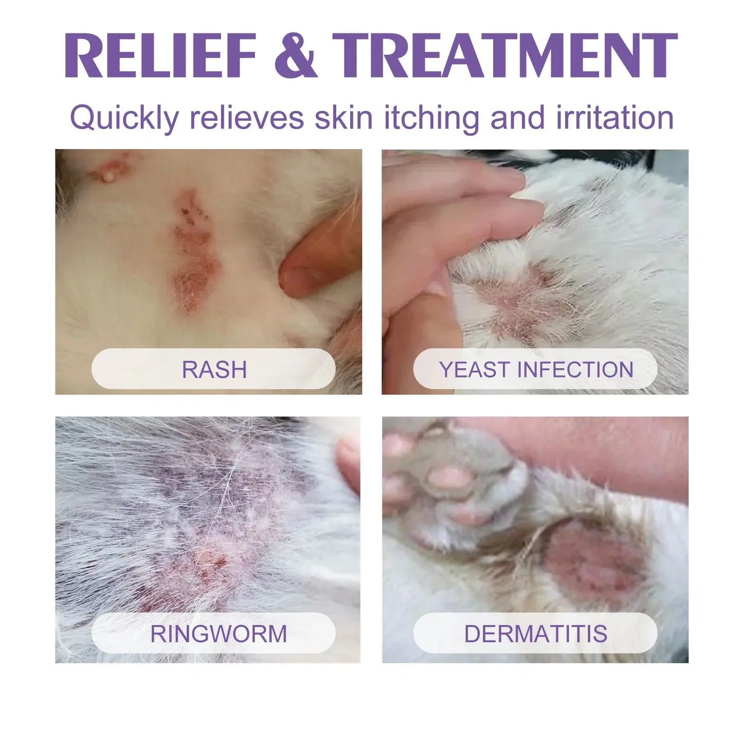 Cat Skin Care Spray Pet Flea Mite Eliminator Dog Itchy Skin Treatment Pet Wound Repair Cat Hair Regrowth Dog Hair Repair Serum WLP Company
