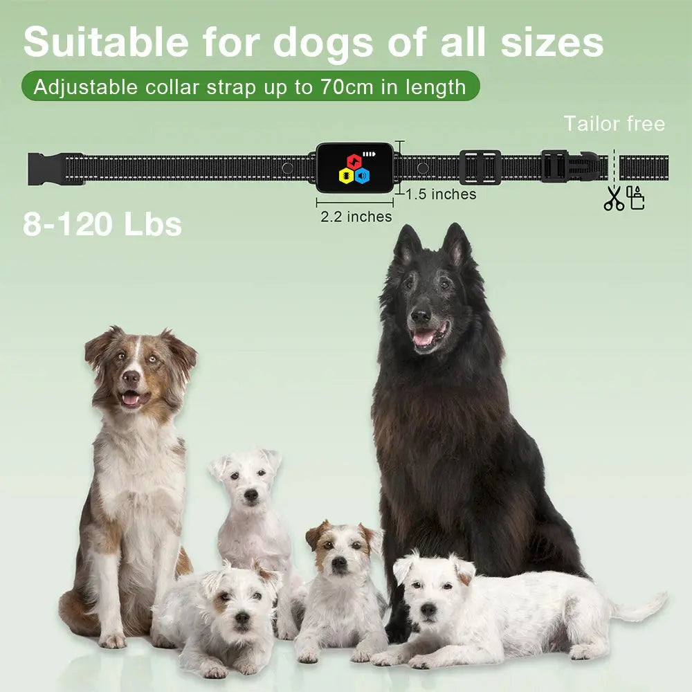 New D25T Dog Training Collar Color Screen Remote Control Dog Trainer Shock Vibration Stop Barking Collar for All Size Dogs WLP Company