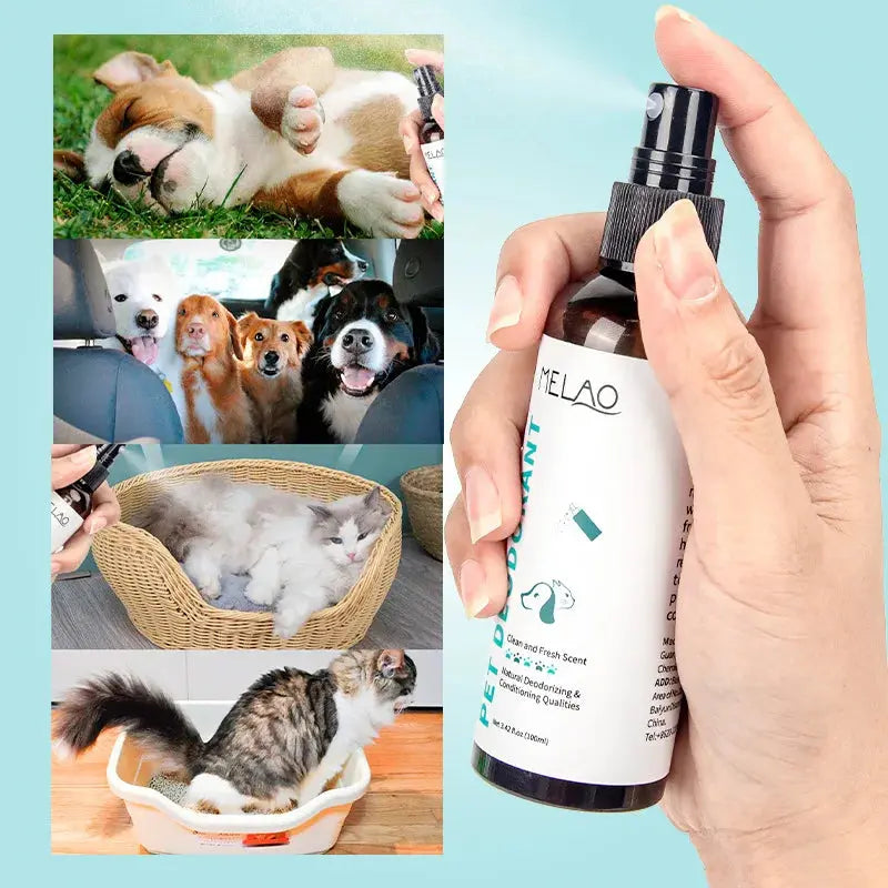 Natural Pet Deodorizing Spray for Cats Dogs Long Lasting Fragrance Odor Eliminator Safe Gentle Formula for Home Pet Care WLP Company