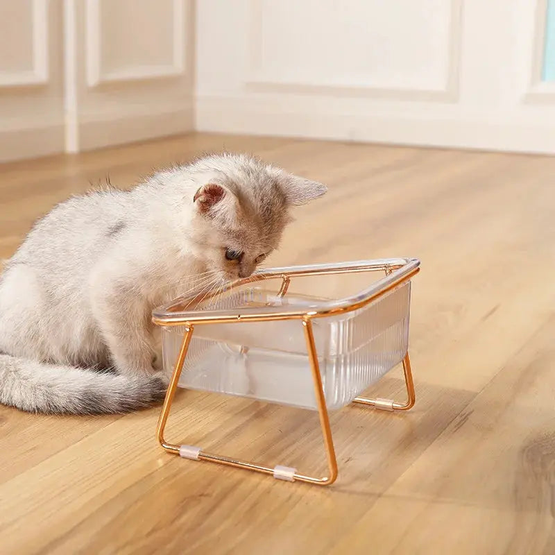 transparent cat bowl Transparent Double Cat Bowl with Vertical Design for Easy Feeding WLP Company