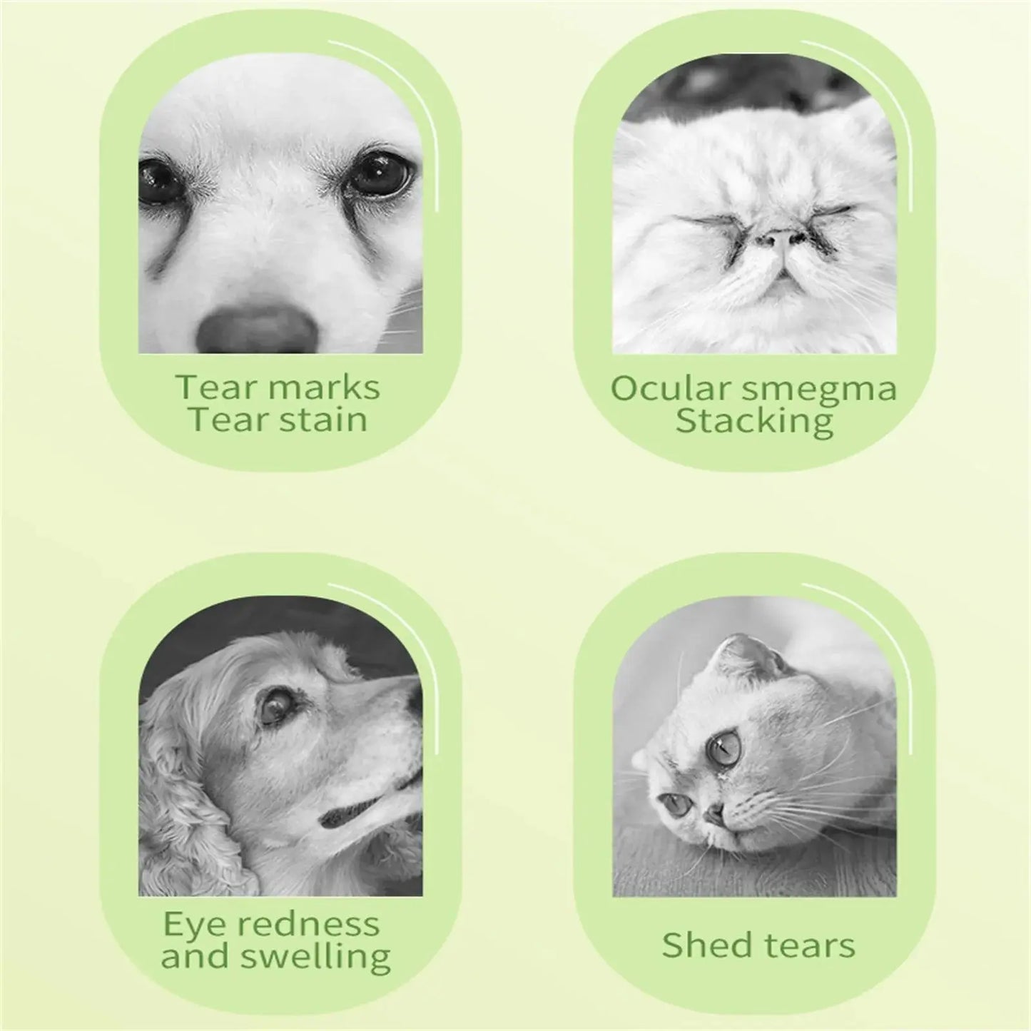 Pet Eye Wipes Cats And Dogs Tearmark Wet Wipes Cats And Dogs Universal No Irritation Cleaning Products 200 Canned Wipes WLP Company