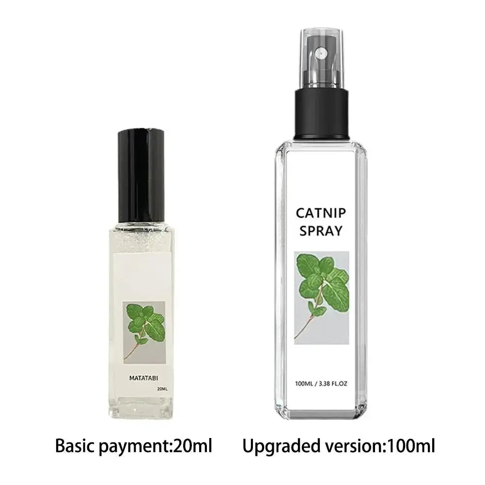 Celery Pets Catnip Spray Joy Herbal Cat Joy Insect Gall Fruit Spray Exciting Scratching Board Dropshipping WLP Company