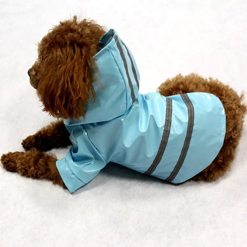 Glossy Leather Waterproof Dog Raincoat - Premium Weather Protection WLP Company