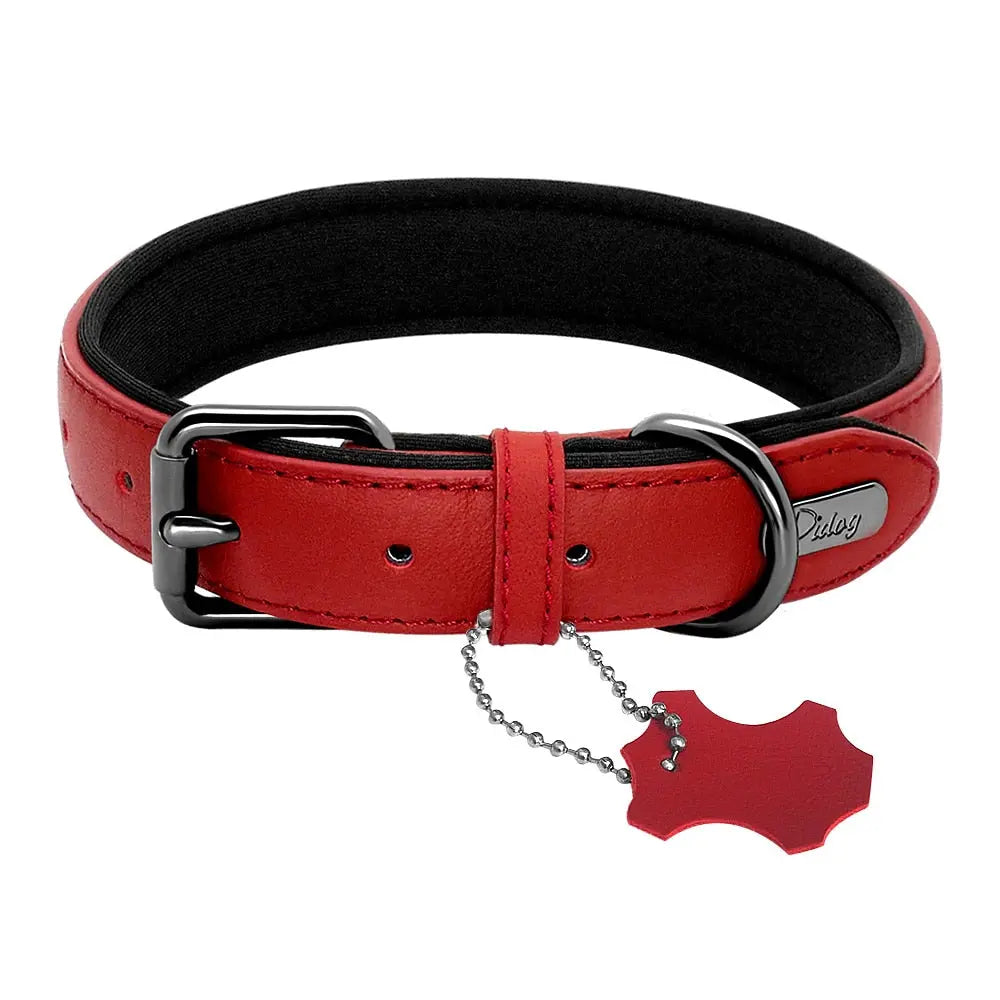Padded Adjustable Genuine Leather Dog Collar - Superior Comfort & Style WLP Company