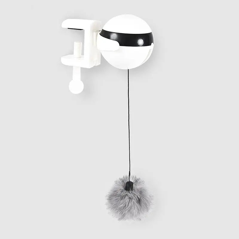 cat teaser toy Electric Teaser Toy WLP Company