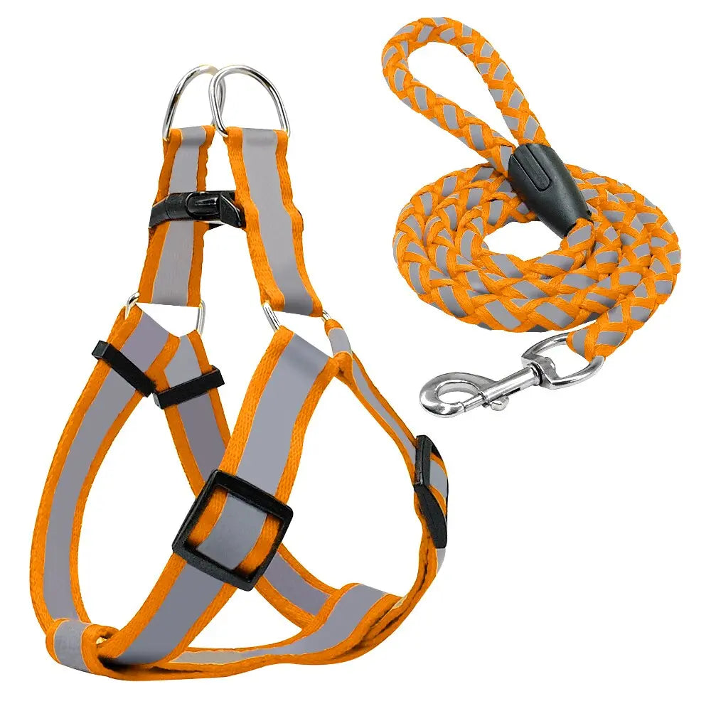 Step-in Reflective Nylon Dog Vest with Leash Set - Enhanced Safety & Visibility WLP Company