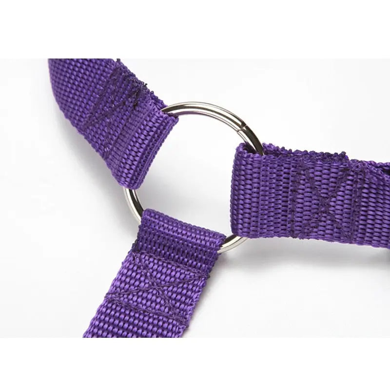 Pet Seat Belt Leash WLP Company