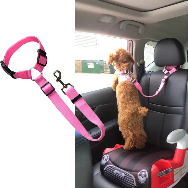 Pet Seat Belt Leash WLP Company