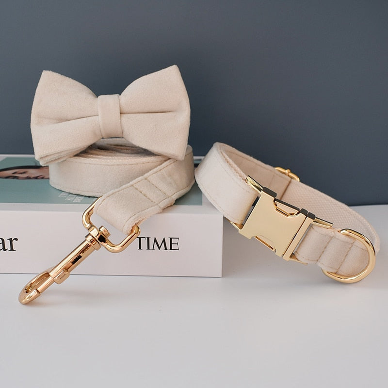 Dog's Elegant Bow Collar and Leash Set