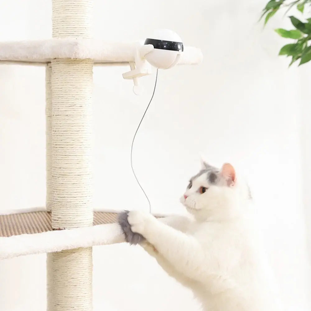cat teaser toy Electric Teaser Toy WLP Company