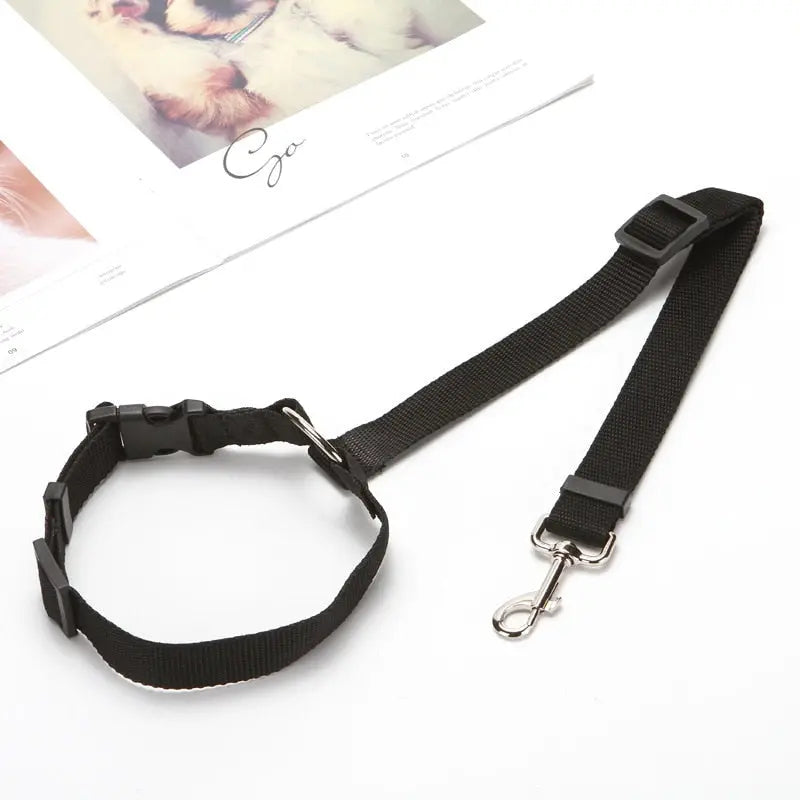 Pet Seat Belt Leash WLP Company