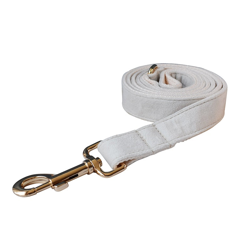 Dog's Elegant Bow Collar and Leash Set