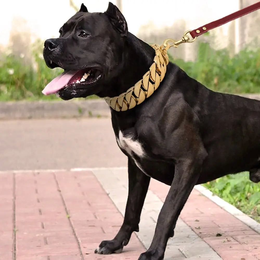 Strong Chain Styled Dog Collar WLP Company
