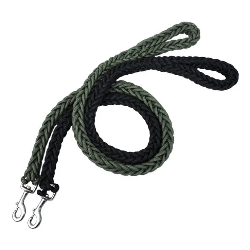nylon dog leash Double Row Leash for Dogs WLP Company
