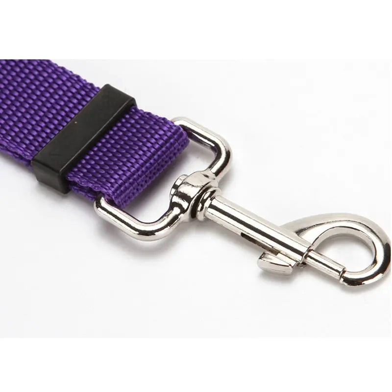 Pet Seat Belt Leash WLP Company
