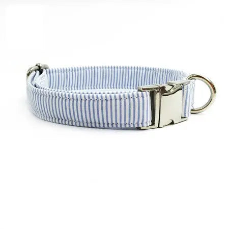 dog collar Stylish & Durable Dog's Striped Collar and Leash Set WLP Company