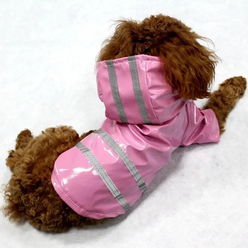 Glossy Leather Waterproof Dog Raincoat - Premium Weather Protection WLP Company