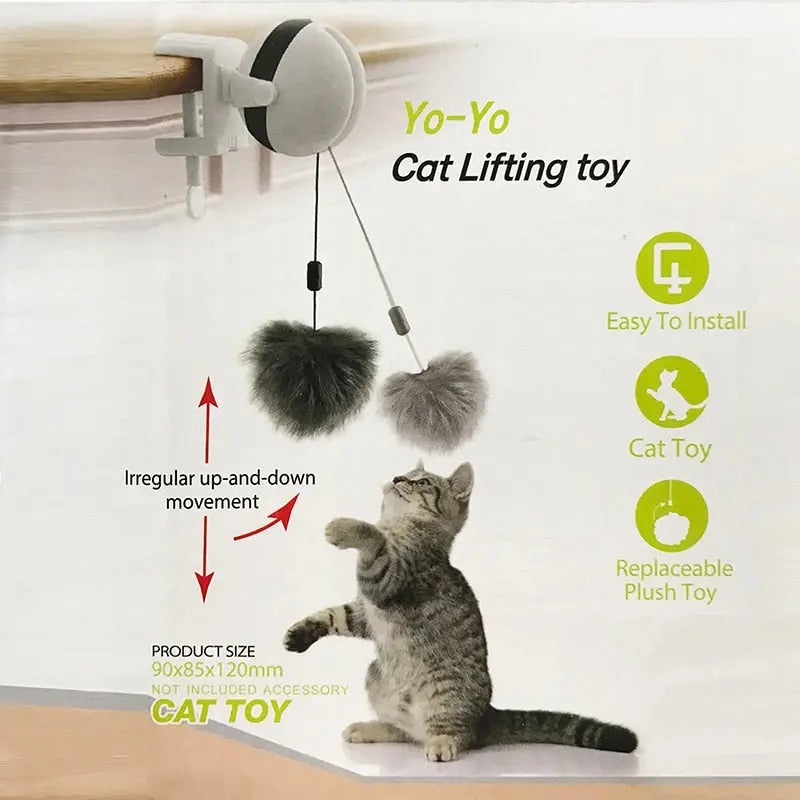 cat teaser toy Electric Teaser Toy WLP Company