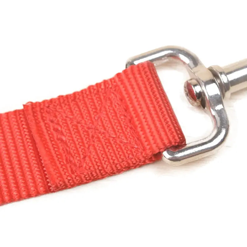 dog leashes Casual Nylon Leashes For Dogs WLP Company