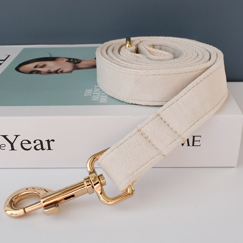 Dog's Elegant Bow Collar and Leash Set