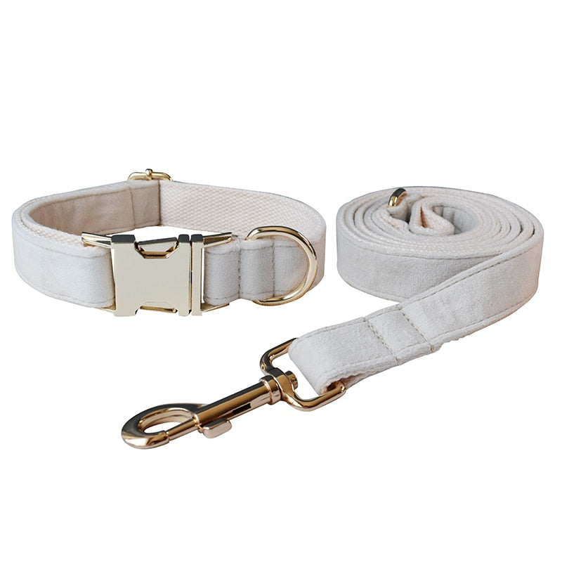 Dog's Elegant Bow Collar and Leash Set